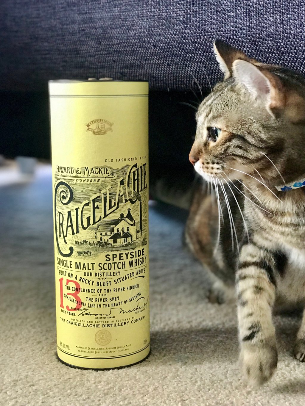 Craigellachie 13 Year