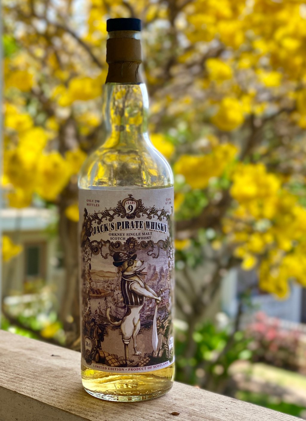 Orkney 9 Year, Jack’s Pirate Whisky Überfahrt nach Sachsen Part I Cask&nbsp;108