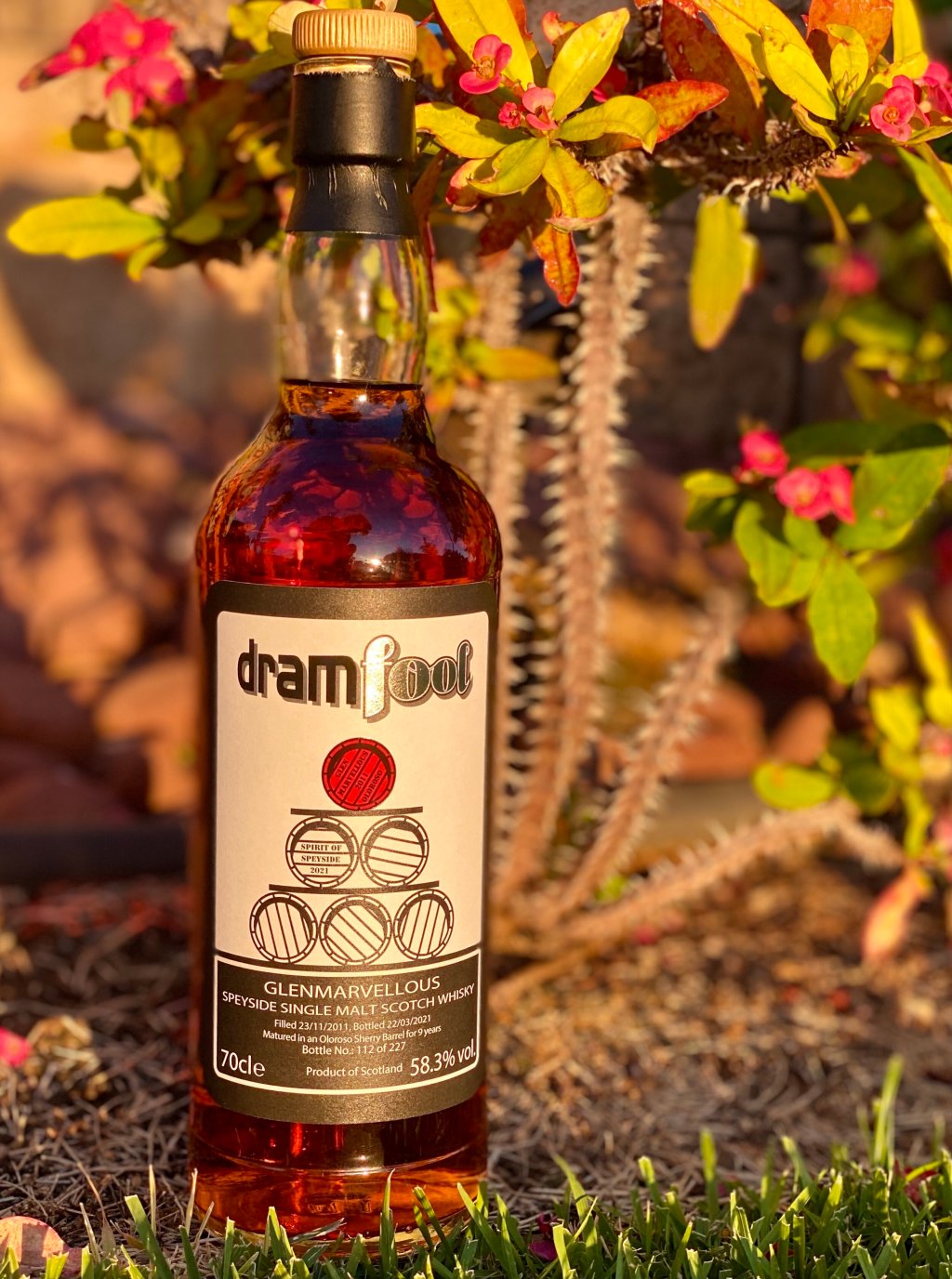 Glenfarclas 9 Year, Dramfool “Glenmarvellous”