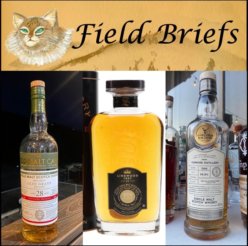 Weekend Brief Oct. 2024: 20-Somethings with Tormore, Linkwood, and Glen&nbsp;Grant