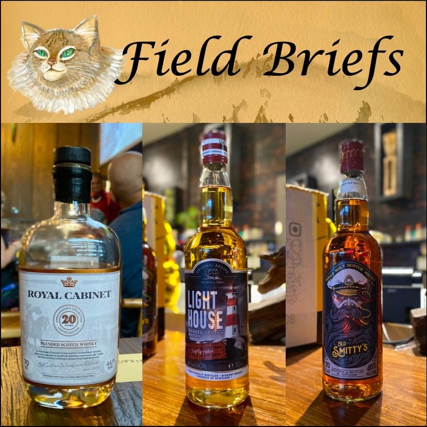 Field Briefs June 2024: Brave New&nbsp;Spirits