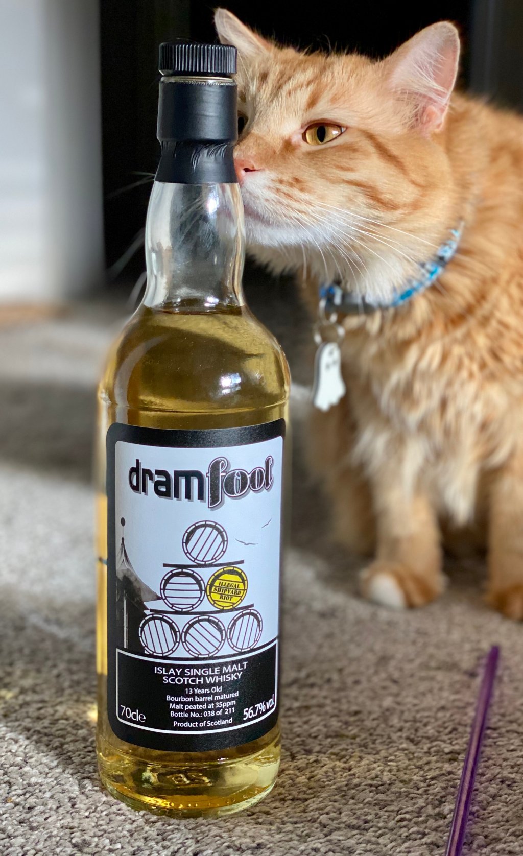 Laphroaig 13 Year, Dramfool “Illegal Shipyard&nbsp;Riot”