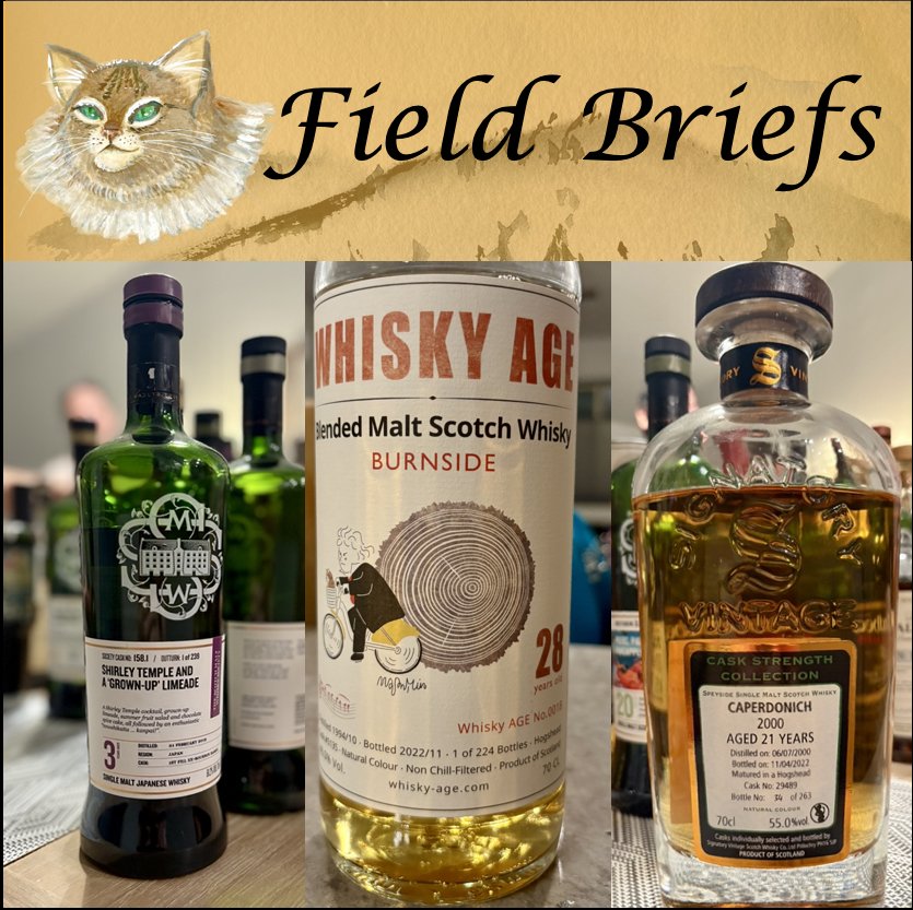 Field Brief: An Eclectic Evening with Yuza, Springbank, Burnside, and&nbsp;Caperdonich