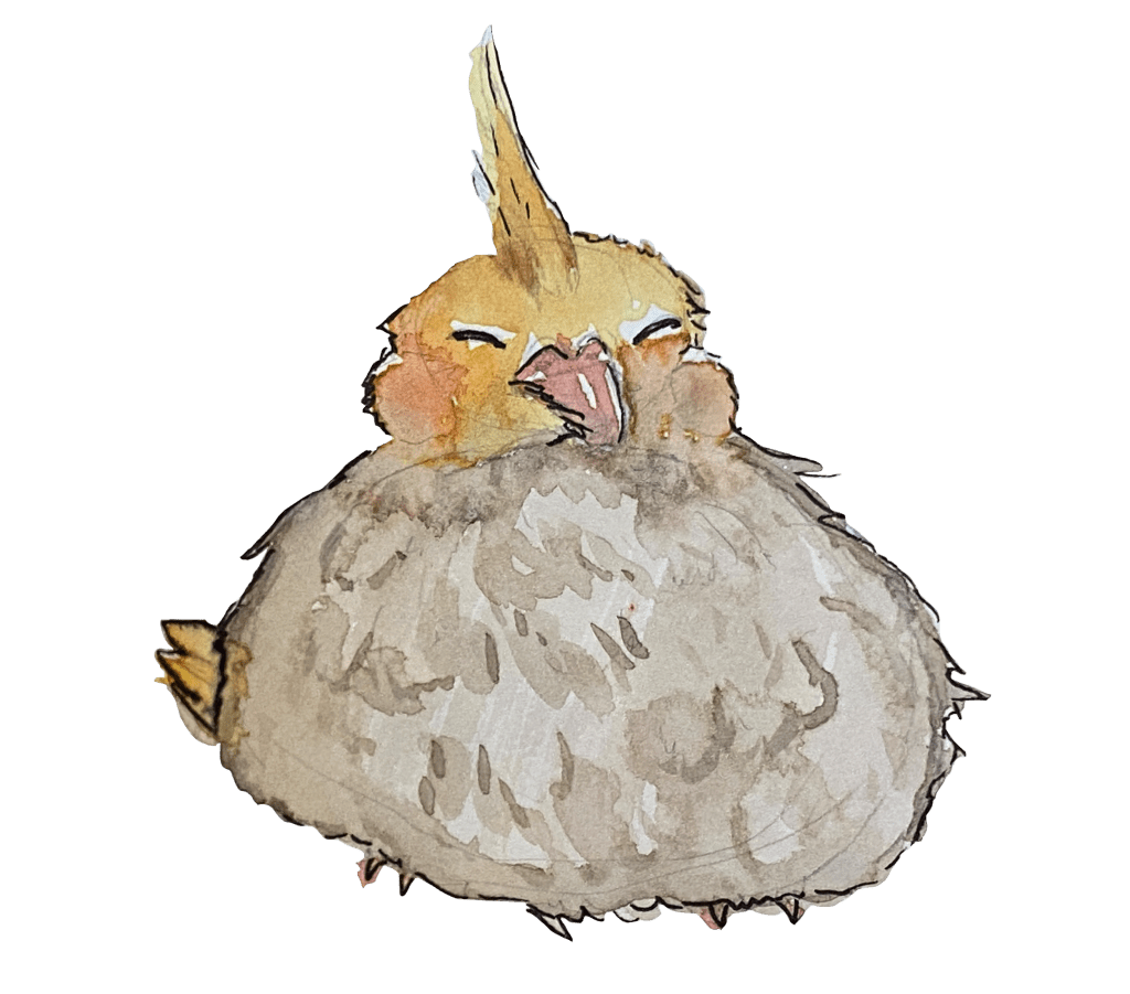 Clynelish 11 Year (2008), Signatory Vintage Cask&nbsp;800217