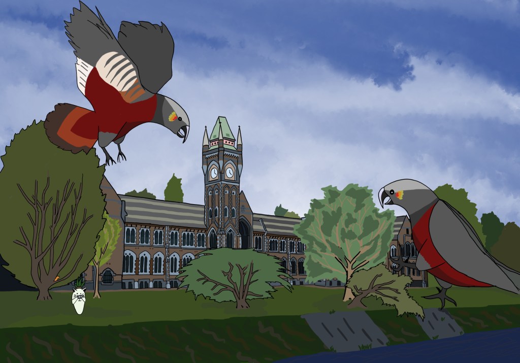 New Zealand: Kiwi Single&nbsp;Malts